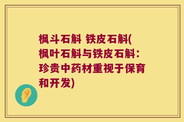 枫斗石斛 铁皮石斛(枫叶石斛与铁皮石斛：珍贵中药材重视于保育和开发)
