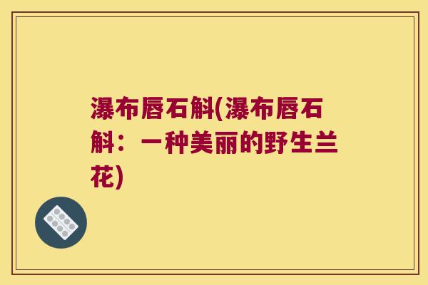 瀑布唇石斛(瀑布唇石斛：一种美丽的野生兰花)