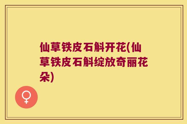 仙草铁皮石斛开花(仙草铁皮石斛绽放奇丽花朵)