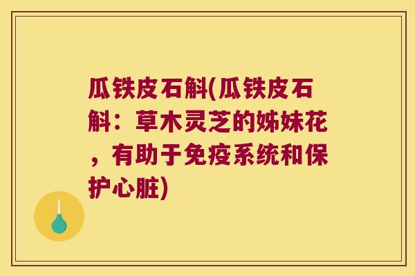 瓜铁皮石斛(瓜铁皮石斛：草木灵芝的姊妹花，有助于免疫系统和保护心脏)