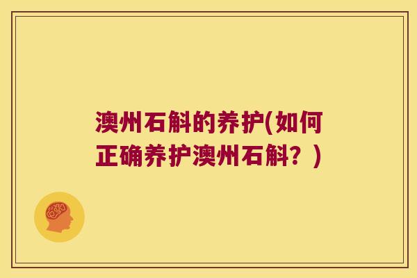 澳州石斛的养护(如何正确养护澳州石斛？)