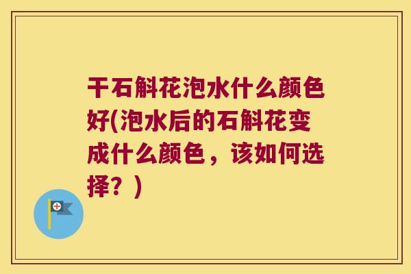 干石斛花泡水什么颜色好(泡水后的石斛花变成什么颜色，该如何选择？)