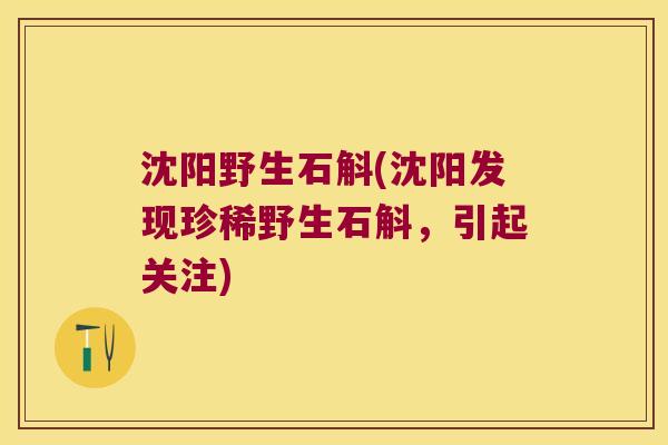 沈阳野生石斛(沈阳发现珍稀野生石斛，引起关注)