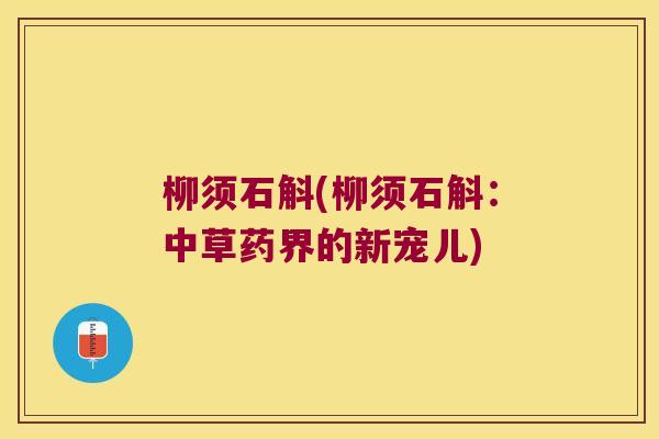 柳须石斛(柳须石斛：中草药界的新宠儿)