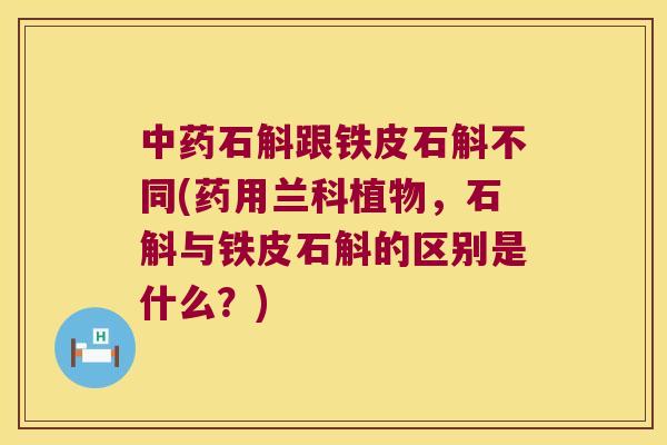 中药石斛跟铁皮石斛不同(药用兰科植物，石斛与铁皮石斛的区别是什么？)