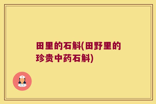 田里的石斛(田野里的珍贵中药石斛)