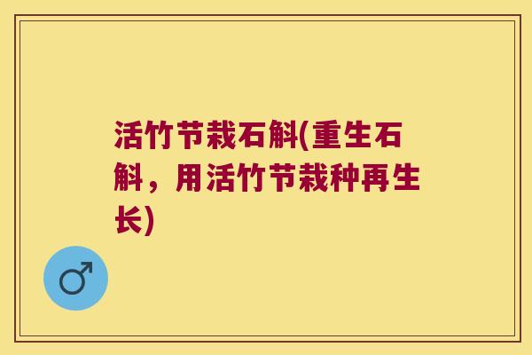 活竹节栽石斛(重生石斛，用活竹节栽种再生长)