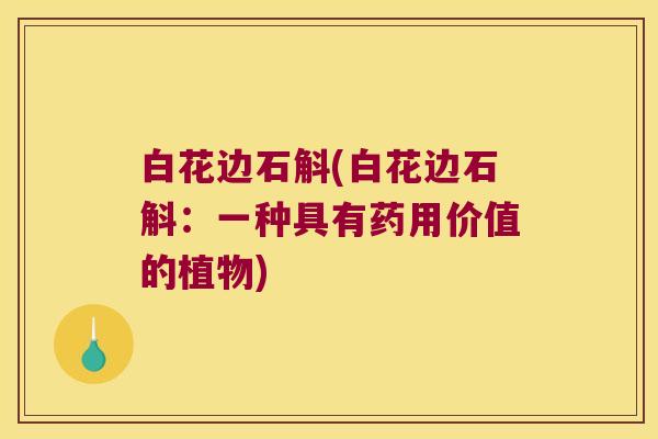 白花边石斛(白花边石斛：一种具有药用价值的植物)