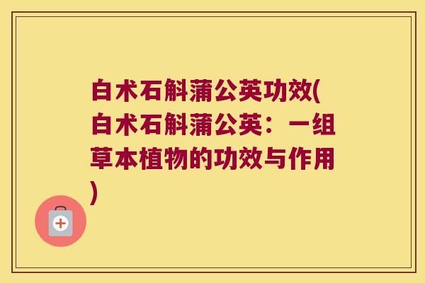 白术石斛蒲公英功效(白术石斛蒲公英：一组草本植物的功效与作用)