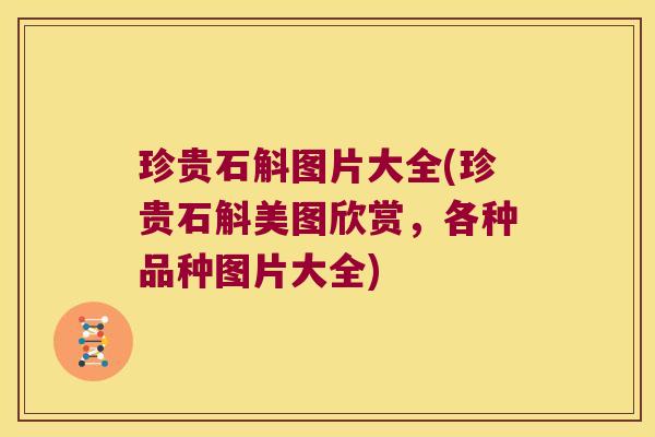 珍贵石斛图片大全(珍贵石斛美图欣赏，各种品种图片大全)