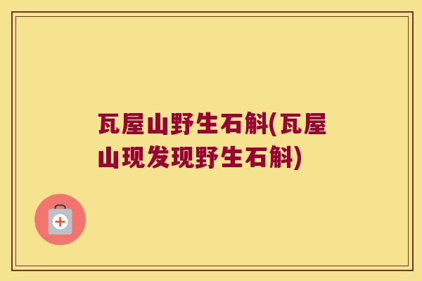 瓦屋山野生石斛(瓦屋山现发现野生石斛)