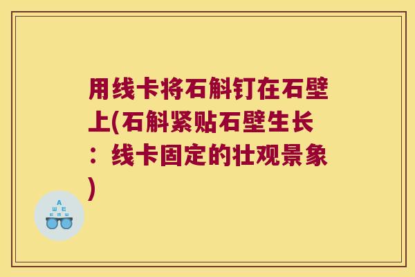 用线卡将石斛钉在石壁上(石斛紧贴石壁生长：线卡固定的壮观景象)