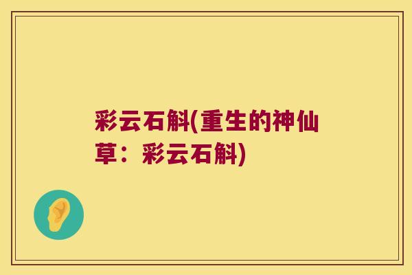 彩云石斛(重生的神仙草：彩云石斛)