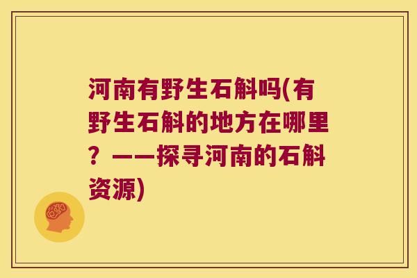 河南有野生石斛吗(有野生石斛的地方在哪里？——探寻河南的石斛资源)