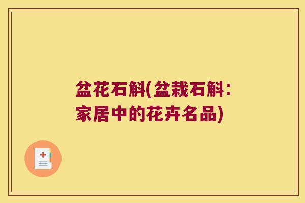 盆花石斛(盆栽石斛:家居中的花卉名品) 盆花石斛(盆栽石斛:家居中的花卉名品)