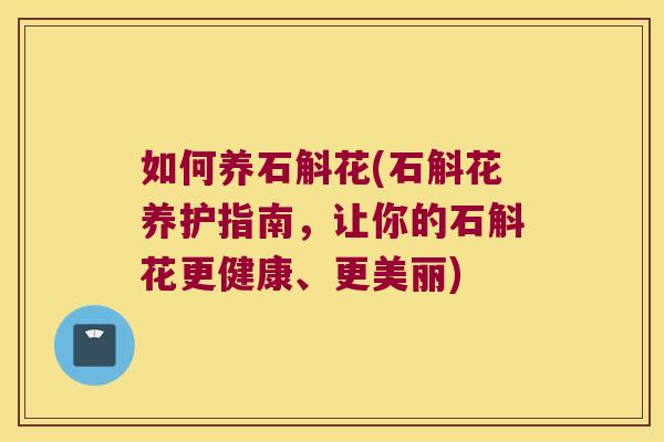 如何养石斛花(石斛花养护指南，让你的石斛花更健康、更美丽)
