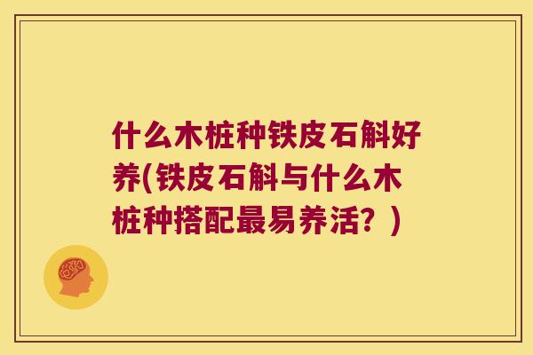 什么木桩种铁皮石斛好养(铁皮石斛与什么木桩种搭配最易养活？)