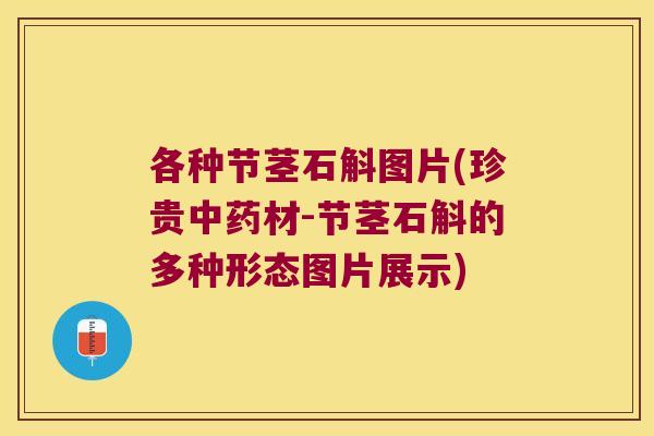 各种节茎石斛图片(珍贵中药材-节茎石斛的多种形态图片展示)