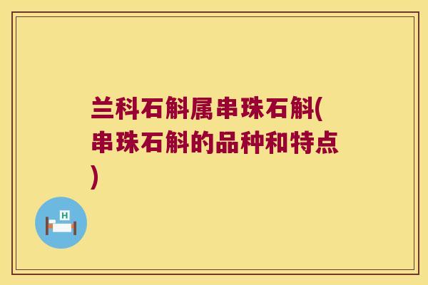 兰科石斛属串珠石斛(串珠石斛的品种和特点)