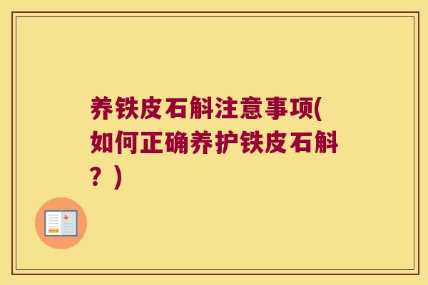 养铁皮石斛注意事项(如何正确养护铁皮石斛？)