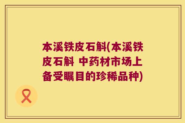 本溪铁皮石斛(本溪铁皮石斛 中药材市场上备受瞩目的珍稀品种)
