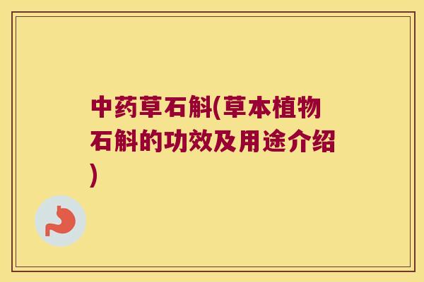 中药草石斛(草本植物石斛的功效及用途介绍)