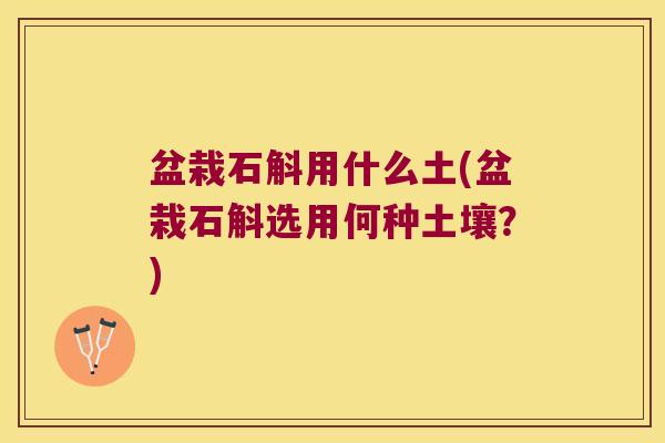 盆栽石斛用什么土(盆栽石斛选用何种土壤？)