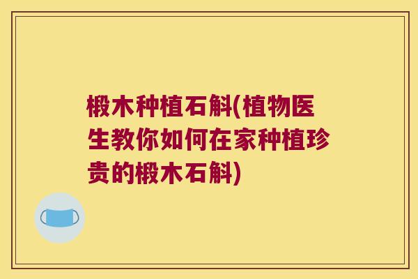 椴木种植石斛(植物医生教你如何在家种植珍贵的椴木石斛)