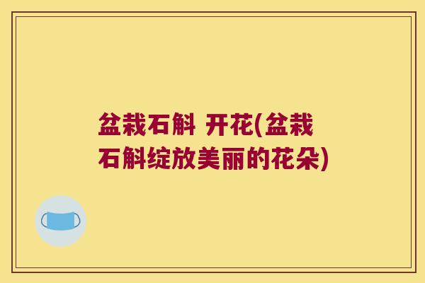 盆栽石斛 开花(盆栽石斛绽放美丽的花朵)