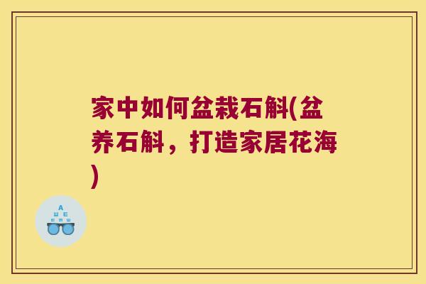 家中如何盆栽石斛(盆养石斛，打造家居花海)