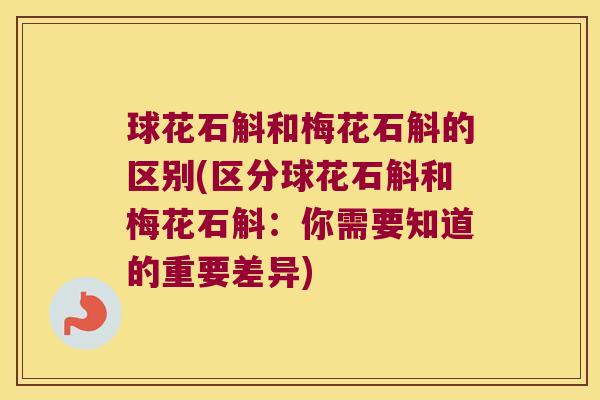 球花石斛和梅花石斛的区别(区分球花石斛和梅花石斛：你需要知道的重要差异)