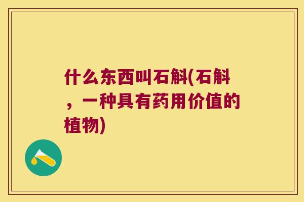 什么东西叫石斛(石斛，一种具有药用价值的植物)