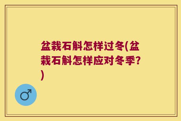 盆栽石斛怎样过冬(盆栽石斛怎样应对冬季?) 盆栽石斛怎样过冬(盆栽石斛怎样应对冬季?)