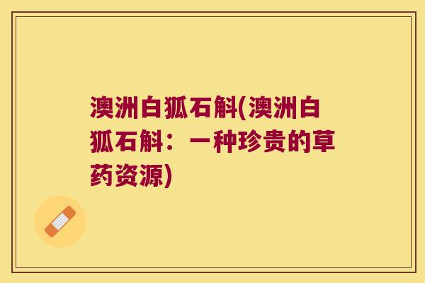 澳洲白狐石斛(澳洲白狐石斛：一种珍贵的草药资源)