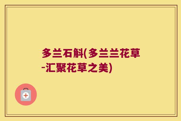 多兰石斛(多兰兰花草-汇聚花草之美)