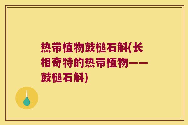 热带植物鼓槌石斛(长相奇特的热带植物——鼓槌石斛)