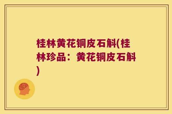 桂林黄花铜皮石斛(桂林珍品：黄花铜皮石斛)