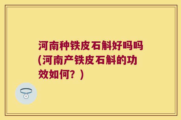 河南种铁皮石斛好吗吗(河南产铁皮石斛的功效如何？)