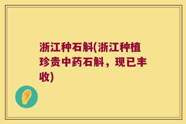 浙江种石斛(浙江种植珍贵中药石斛，现已丰收)
