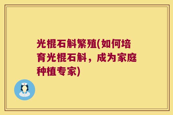 光棍石斛繁殖(如何培育光棍石斛，成为家庭种植专家)