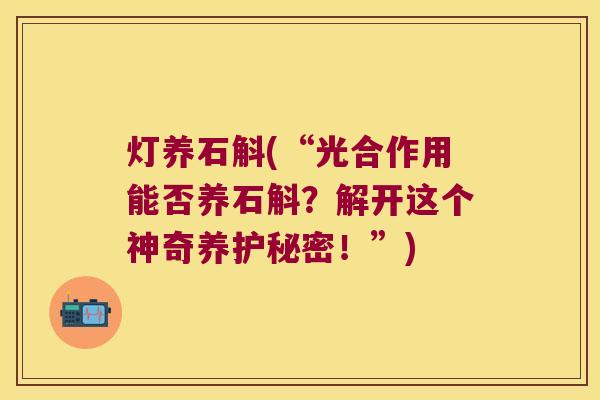 灯养石斛(“光合作用能否养石斛？解开这个神奇养护秘密！”)