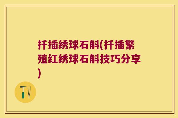 扦插绣球石斛(扦插繁殖红绣球石斛技巧分享)