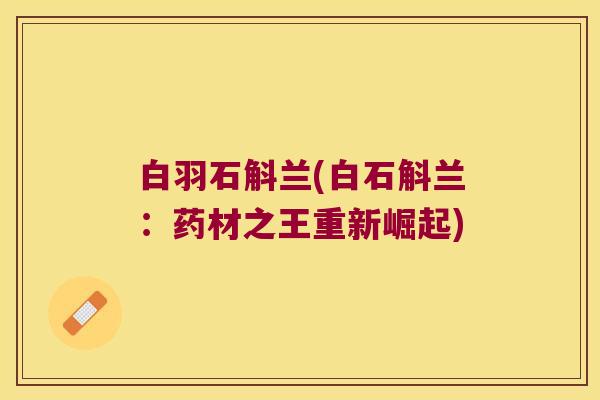 白羽石斛兰(白石斛兰：药材之王重新崛起)