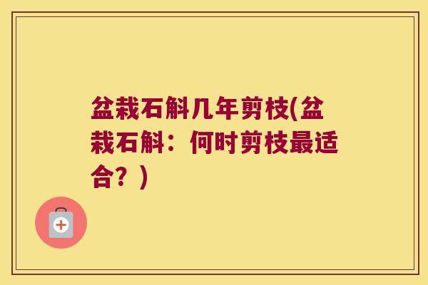 盆栽石斛几年剪枝(盆栽石斛：何时剪枝适合？)