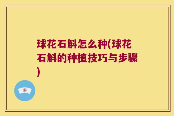 球花石斛怎么种(球花石斛的种植技巧与步骤)