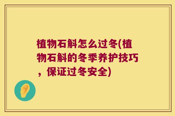 植物石斛怎么过冬(植物石斛的冬季养护技巧,保证过冬安全) 植物石斛怎么过冬(植物石斛的冬季养护技巧,保证过冬安全)