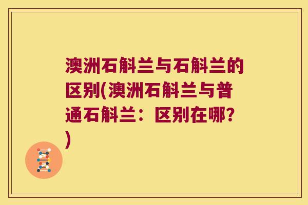 澳洲石斛兰与石斛兰的区别(澳洲石斛兰与普通石斛兰：区别在哪？)
