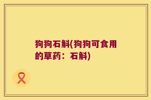 狗狗石斛(狗狗可食用的草药：石斛)