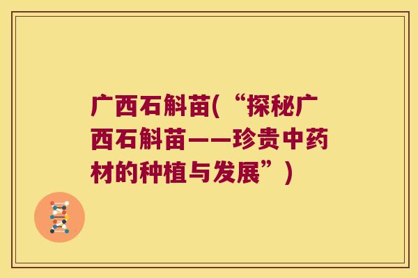 广西石斛苗(“探秘广西石斛苗——珍贵中药材的种植与发展”)