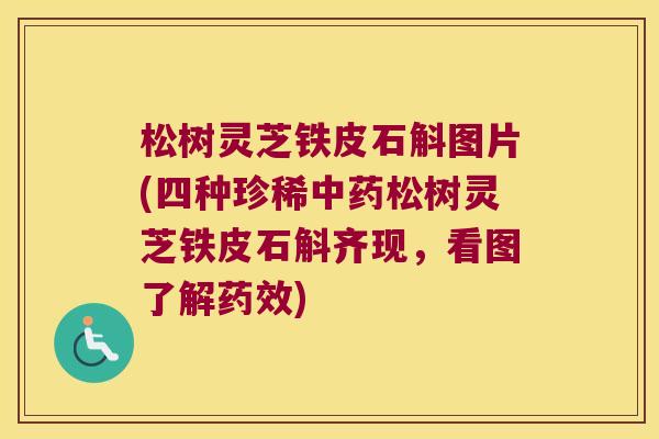 松树灵芝铁皮石斛图片(四种珍稀松树灵芝铁皮石斛齐现,看图了解) 松树灵芝铁皮石斛图片(四种珍稀松树灵芝铁皮石斛齐现,看图了解)